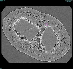 顆粒剤（サイズ約1mm）mux2021-ct